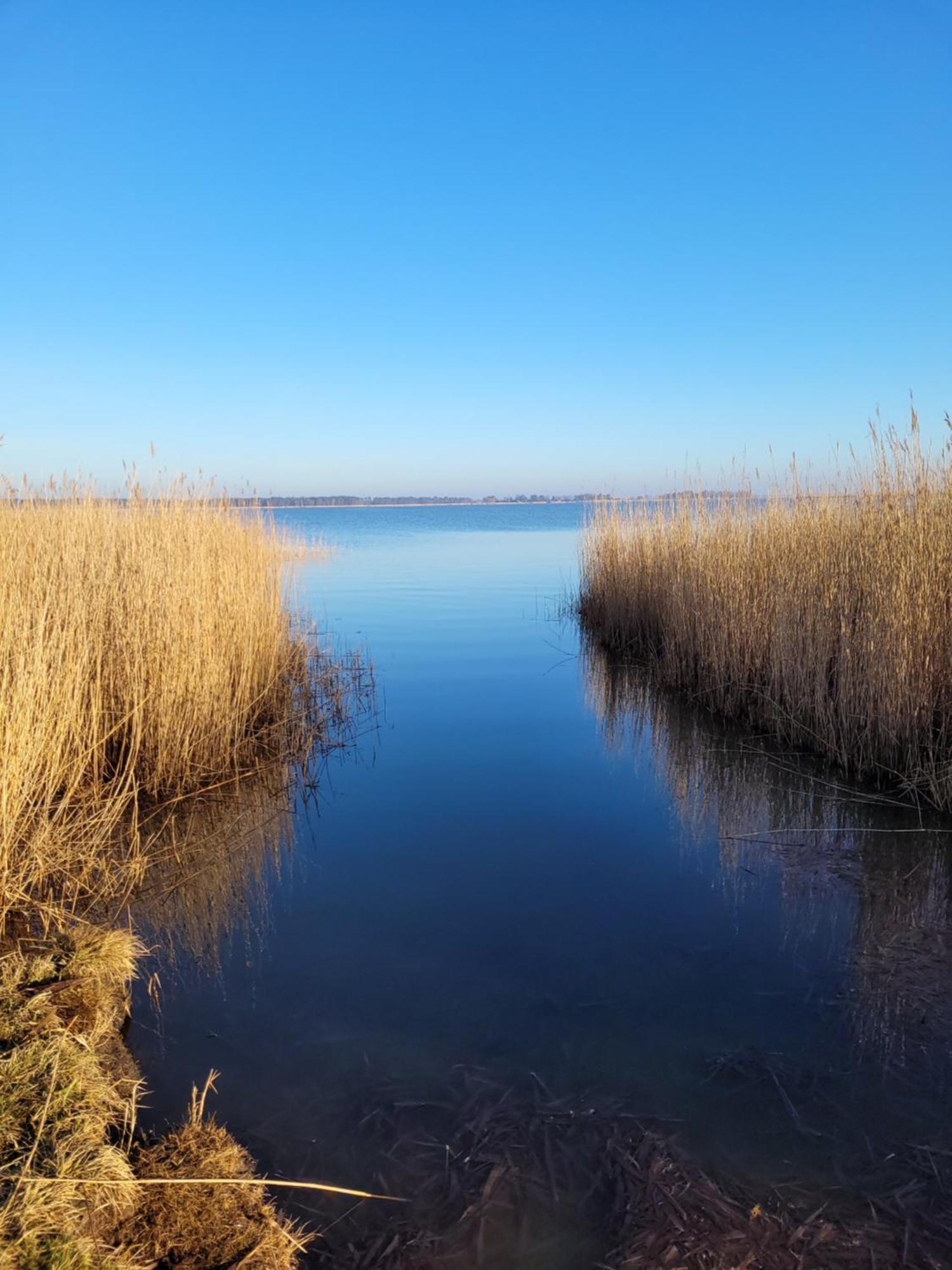 Вілла Urlaub Unterm Reetdach Auf Dem Darss Fuhlendorf  Екстер'єр фото